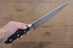 Seisuke Swedish Steel Gyuto Salmon  210mm Black Pakka wood Handle - Japannywholesale