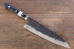 Fujiwara Teruyasu Fujiwara Teruyasu Denka Blue Super Black Finished Gyuto  210mm with Black Pakka wood Handle - Japannywholesale