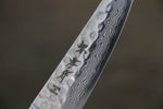 Sakai Takayuki VG10 17 Layer Damascus Petty-Utility  80mm - Japannywholesale