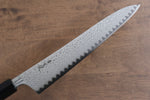 Kanjyo Ladder VG10 Damascus Gyuto  240mm Gray Pakka wood Handle - Japannywholesale