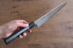 Kanjyo Ladder VG10 Damascus Gyuto  240mm Gray Pakka wood Handle - Japannywholesale