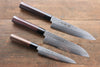 Sakai Takayuki 45 Layer Damascus Japanese Chef's Gyuto, Santoku & Petty Knife with Shitan Handle Set - Japannywholesale