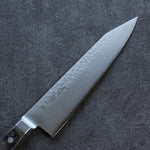 Seisuke SG2 Hammered Gyuto  210mm Gray Pakka wood Handle - Japannywholesale