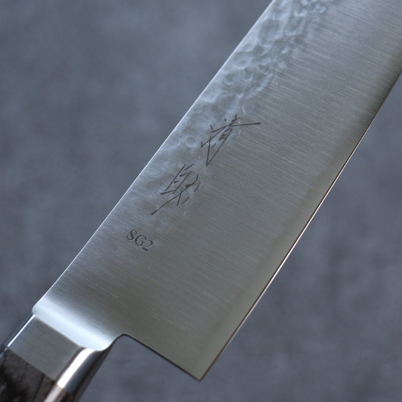 Seisuke SG2 Hammered Gyuto  210mm Gray Pakka wood Handle - Japannywholesale