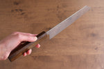 Seisuke Nami AUS10 Mirrored Finish Damascus Kiritsuke Gyuto  210mm Oak Handle - Japannywholesale