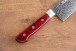 Seisuke Nami AUS10 Mirrored Finish Damascus Gyuto  210mm Red Pakka wood Handle - Japannywholesale