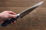 Seisuke Seiten Molybdenum Gyuto  210mm Blue Pakka wood Handle with Sheath - Japannywholesale