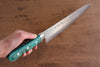 Sakai Takayuki VG10 17 Layer Damascus Gyuto  240mm Green Pakka wood Handle - Japannywholesale