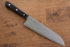 Seisuke Budou Silver Steel No.3 Nashiji Santoku  180mm Purple Pakka wood Handle - Japannywholesale