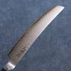 Shizu VG10 Damascus Steak  130mm Black Pakka wood Handle - Japannywholesale