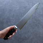 Seisuke VG5 Hammered Kasumitogi Gyuto  240mm Black Pakka wood Handle - Japannywholesale