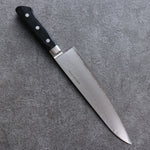 Seisuke VG5 Hammered Kasumitogi Gyuto  210mm Black Pakka wood Handle - Japannywholesale