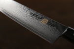 Iseya VG10 G-Series 33 Layer Damascus Japanese Chef's Petty 150mm & Gyuto 210mm Set - Japannywholesale