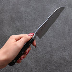 Seisuke VG5 Hammered Kasumitogi Santoku  120mm Black Pakka wood Handle - Japannywholesale