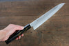 Sakai Takayuki VG10 33 Layer Damascus Gyuto  240mm Live oak Lacquered (Saiu) Handle - Japannywholesale