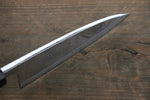 Sakai Takayuki Blue Steel No.2 Mirrored Finish Deba - Japannywholesale