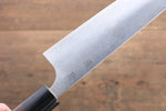 Seisuke SG2 Sujihiki Japanese Chef Knife 240mm - Japannywholesale