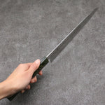 Sakai Takayuki VG10 33 Layer Damascus Gyuto Japanese Knife 240mm Stabilized wood Handle - Japannywholesale