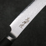Shizu Set of 4 VG10 Damascus Steak Japanese Knife 130mm Black Pakka wood Handle - Japannywholesale