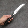 Shizu Set of 4 VG10 Damascus Steak Japanese Knife 130mm Black Pakka wood Handle - Japannywholesale