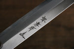 Sakai Takayuki [Left Handed] Molybdenum Yanagiba  PC(Plastic) Handle - Japannywholesale