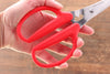 MT Stainless Steel Scissors - Japannywholesale