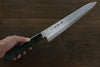 Sakai Takayuki AUS10 45 Layer Damascus Hammered Gyuto  240mm Green Lacquered Handle with Sheath - Japannywholesale