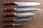 Sakai Takayuki VG10 33 Layer Damascus  Sujihiki, Gyuto 240mm, Santoku, Petty 150mm & Paring 80mm Set - Japannywholesale