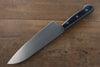 Iseya Molybdenum Santoku  180mm Black Pakka wood Handle - Japannywholesale