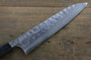 Seisuke Blue Steel No.2 Hammered Damascus Gyuto  210mm Shitan Handle - Japannywholesale