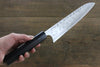 Seisuke Blue Steel No.2 Hammered Damascus Gyuto  210mm Shitan Handle - Japannywholesale