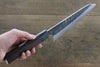 Seisuke Blue Steel No.2 Hammered Kurouchi Gyuto  210mm Shitan Handle - Japannywholesale