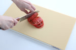 Hasegawa Cutting Board - Japannywholesale