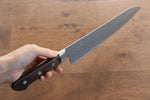 Seisuke AUS8 Hammered Gyuto  240mm Brown Pakka wood Handle - Japannywholesale