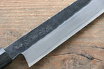 Takayuki Iwai Blue Steel No.2 Kurouchi Yanagiba  270mm Shitan Handle - Japannywholesale