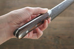 Seisuke VG10 17 Layer Damascus Gyuto  240mm Mahogany Handle - Japannywholesale