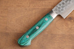 Sakai Takayuki VG10 17 Layer Damascus Sujihiki  240mm Green Pakka wood Handle - Japannywholesale