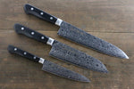 Sakai Takayuki AUS10 45 Layer Mirrored Damascus Japanese Gyuto 210mm, Santoku 170mm& Petty 135mm Set - Japannywholesale