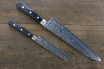 Sakai Takayuki AUS10 45 Layer Mirrored Damascus Japanese Gyuto 210mm & Petty 135mm Knife Set - Japannywholesale