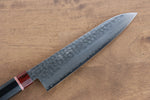 Seisuke VG10 Damascus Gyuto  210mm Black Pakka wood Handle - Japannywholesale