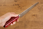 Seisuke VG10 33 Layer Mirrored Finish Damascus Santoku  180mm Red Pakka wood Handle - Japannywholesale