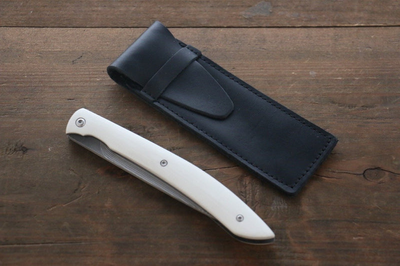 Elegant Japanese Pocketknife, Steak Knife