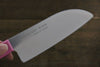 Sakai Takayuki Molybdenum Kitchen Knife for Kids  120mm - Japannywholesale