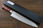 Sakai Takayuki VG10 33 Layer Damascus Gyuto  240mm Mahogany Pakka wood Handle - Japannywholesale