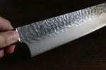 Sakai Takayuki VG10 33 Layer Damascus Gyuto  240mm Mahogany Pakka wood Handle - Japannywholesale