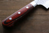 Sakai Takayuki VG10 33 Layer Damascus Gyuto  210mm Mahogany Pakka wood Handle - Japannywholesale