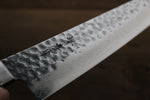 Sakai Takayuki VG10 17 Layer Damascus Gyuto  240mm - Japannywholesale