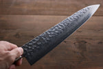 Sakai Takayuki VG10 17 Layer Damascus Gyuto  240mm - Japannywholesale