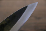 Takayuki Iwai Blue Steel No.2 Kurouchi Funayuki  165mm Shitan Handle - Japannywholesale